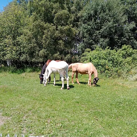 Penzión pre hostí Monty Ranch Stola
