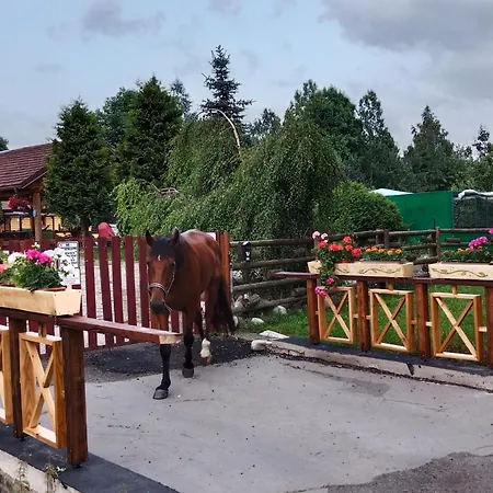 Monty Ranch 게스트하우스 *