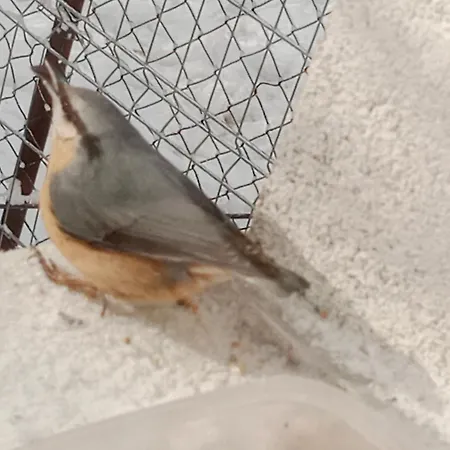 Penzión pre hostí Monty Ranch