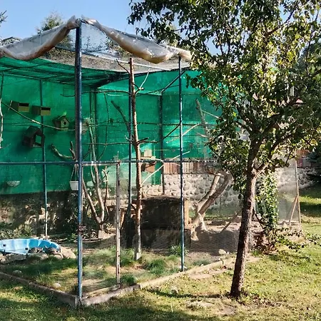 게스트하우스 Monty Ranch Štôla