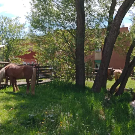 Monty Ranch Penzión pre hostí *