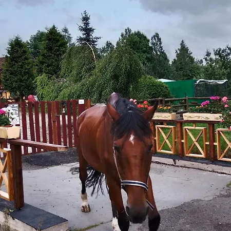 Penzión pre hostí Monty Ranch Stola